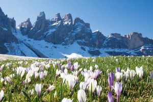 geisler-alm-winter-wandern-00