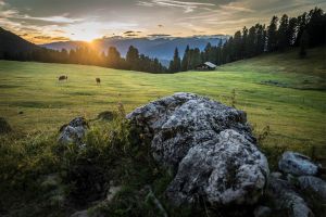 geisler-alm-sommer-06