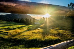 geisler-alm-sommer-10